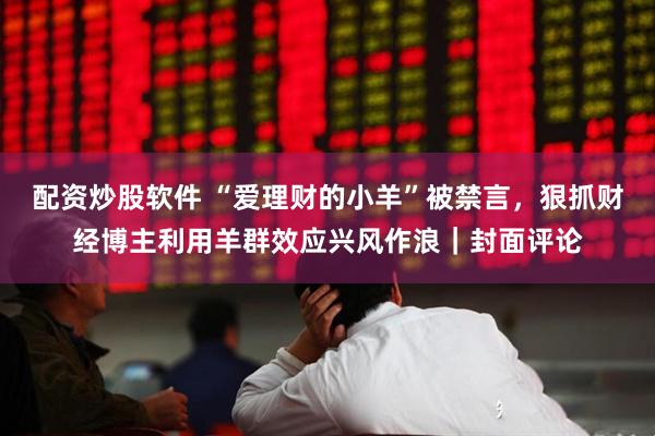 配资炒股软件 “爱理财的小羊”被禁言，狠抓财经博主利用羊群效应兴风作浪｜封面评论