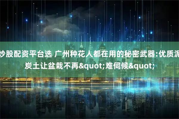 炒股配资平台选 广州种花人都在用的秘密武器:优质泥炭土让盆栽不再"难伺候"